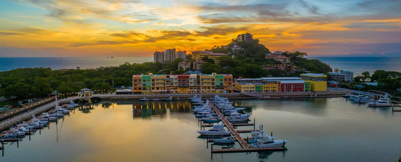 flamingo Flamingo beach Costa Rica