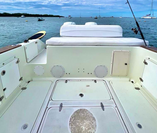 Blue runner boat tamarindo