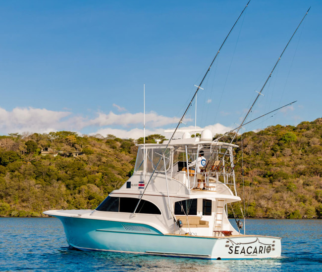 Seacario yatch papagayo