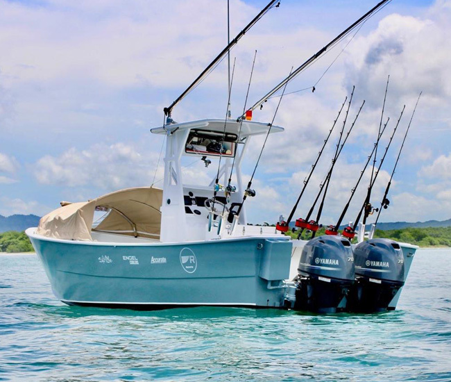 Pica pica boat tamarindo