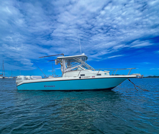 Blue runner boat tamarindo