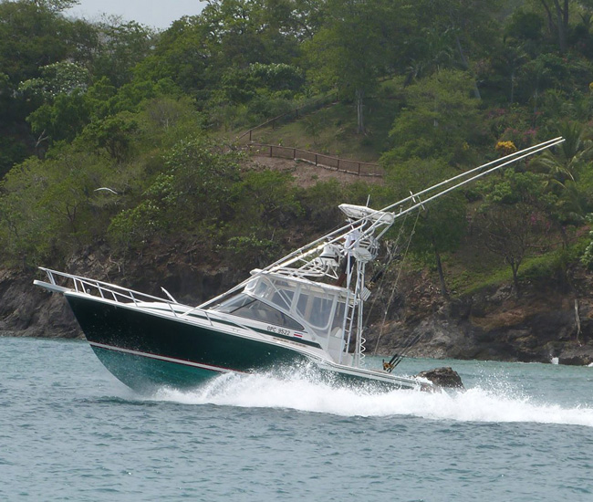 Runaway yatch flamingo