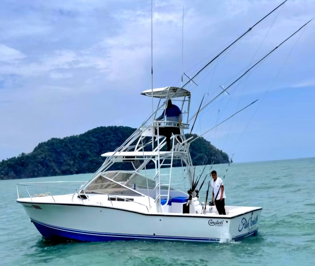 Fish Whistle yatch herradura