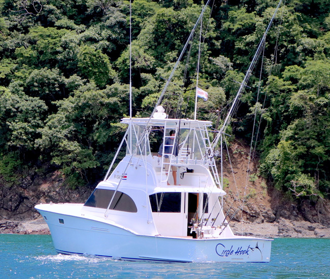 Circle Hook Yatch Herradura