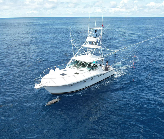 Vitamin Sea yacht Herradura