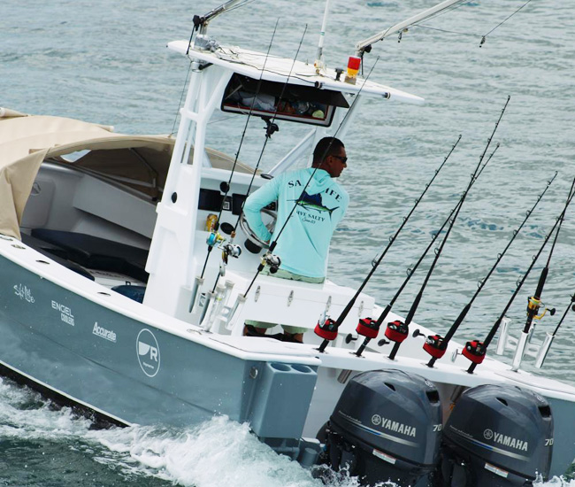 Pica pica boat tamarindo