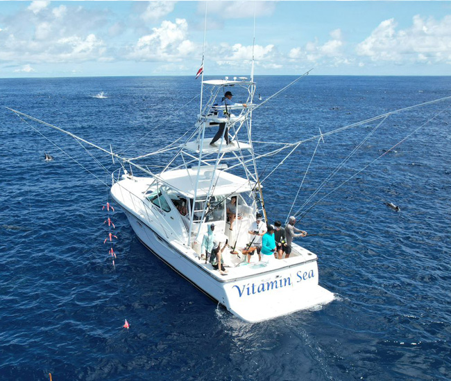 Vitamin Sea yacht Herradura