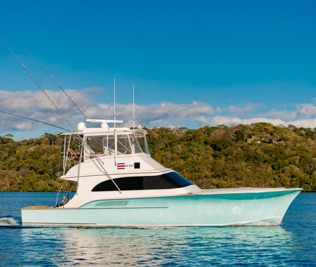 Seacario yatch papagayo