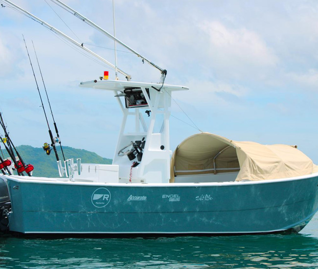 Pica pica boat tamarindo