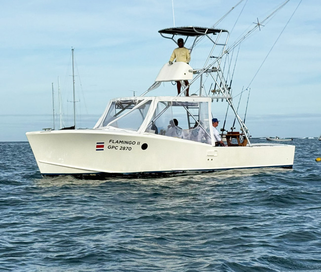 Flamingo boat tamarindo