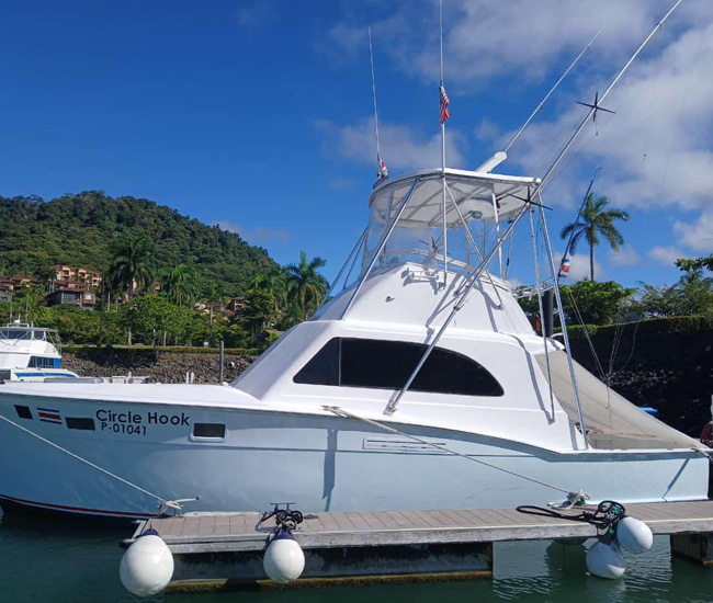 Circle Hook Yatch Herradura