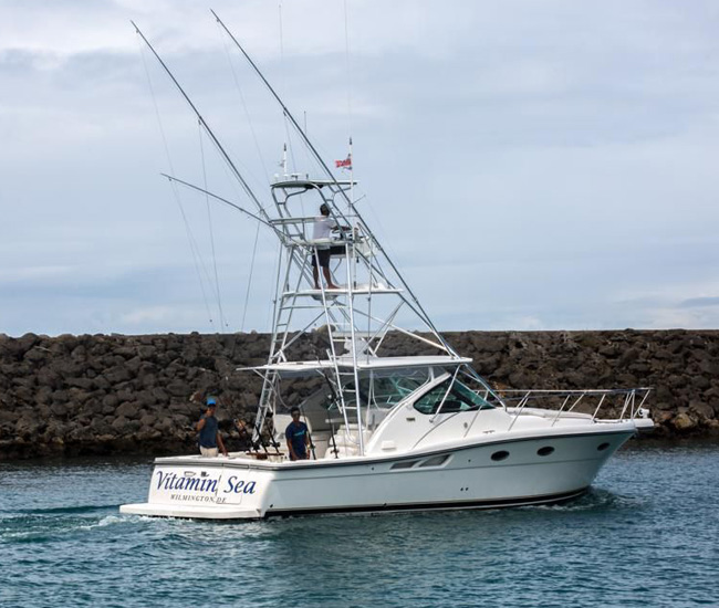 Vitamin Sea yacht Herradura
