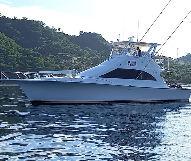 All in yatch papagayo