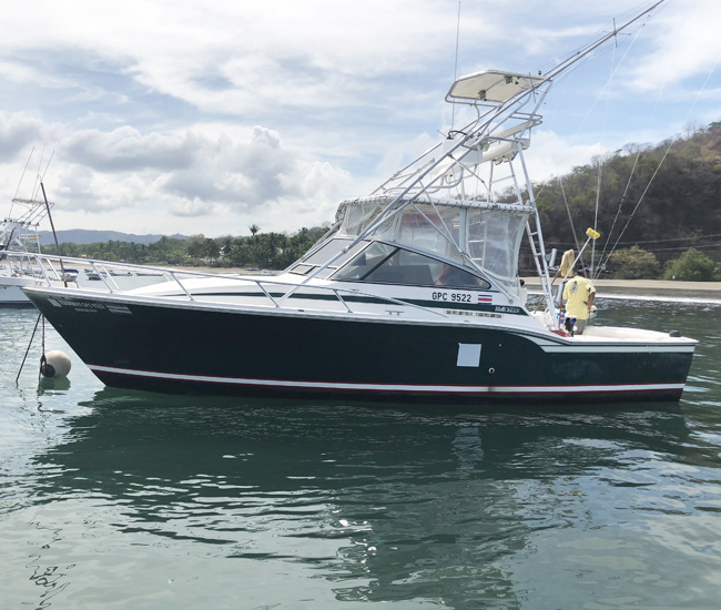 Runaway yatch flamingo