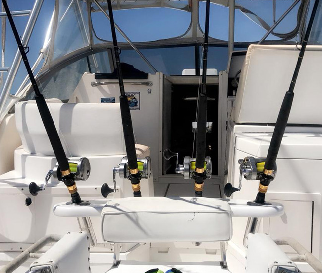 Runaway yatch flamingo