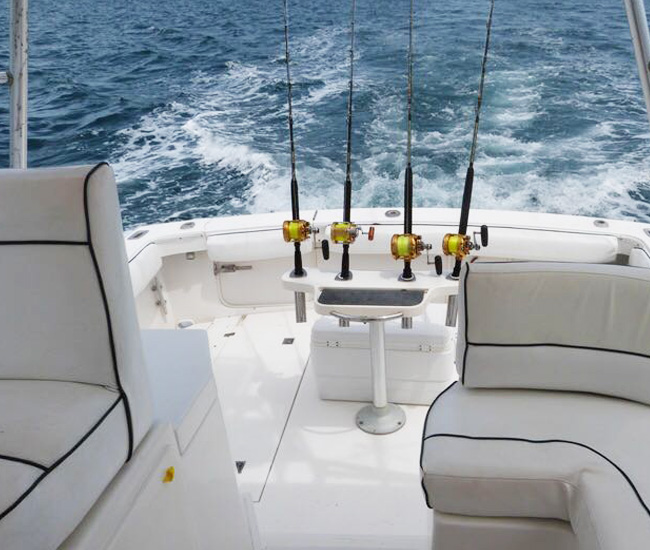 Runaway yatch flamingo