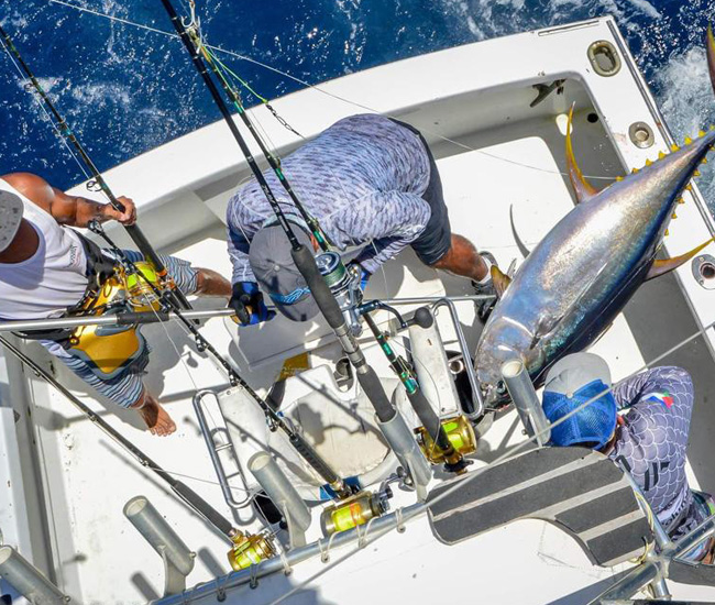 king fisher boat in samara beach