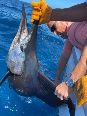 billfish sailfish fishing costa rica