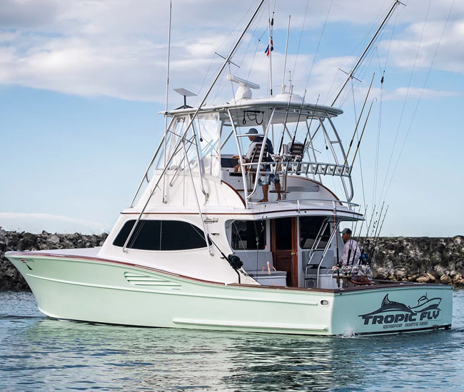 Tropical Fly Yacht Maverick