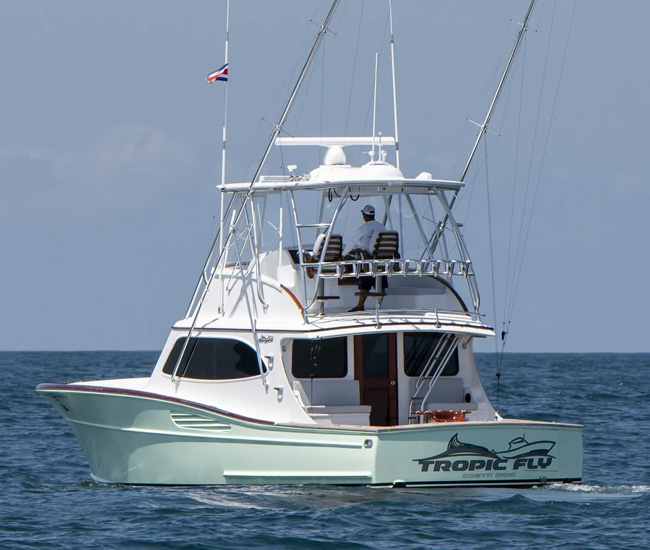 Tropical Fly Yacht Maverick