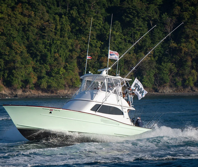 Tropical Fly Yacht Maverick