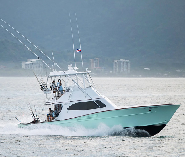 Tropical Fly Yacht Maverick