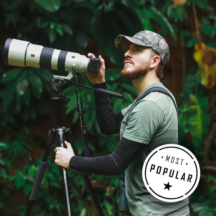 card1_birdwatching-1 Palo verde tour costa rica