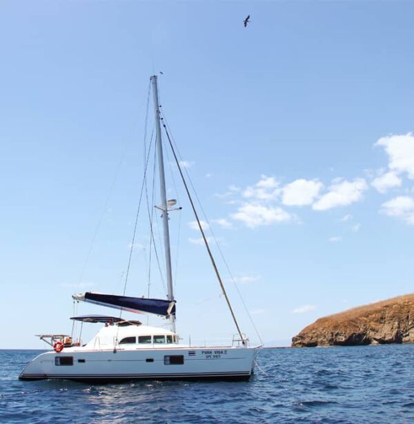 catamaran2-600×614 private catamaran tours