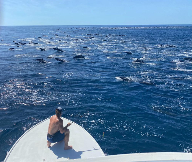 king fisher boat in samara beach