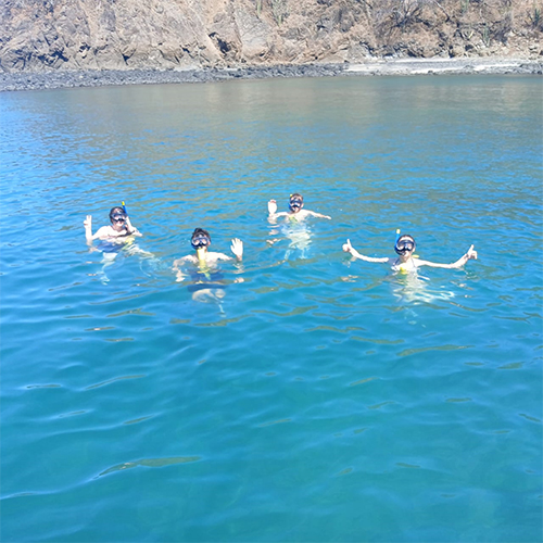 snorkeling snorkeling tours