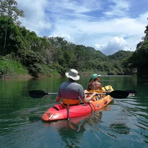 Mangrove-kayak Samara fishing charters